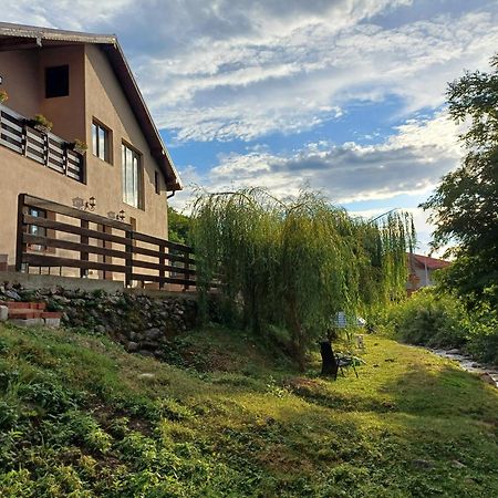 Casa Radu Apartman Novaci-Străini Kültér fotó