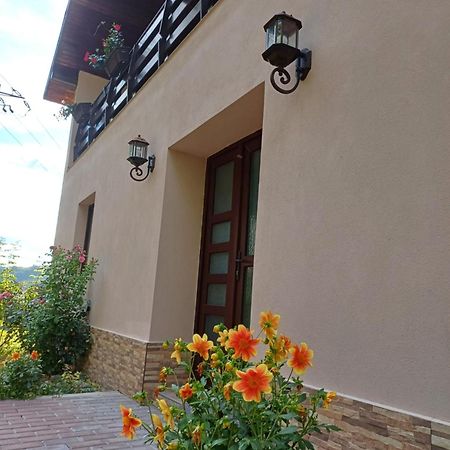 Casa Radu Apartman Novaci-Străini Kültér fotó