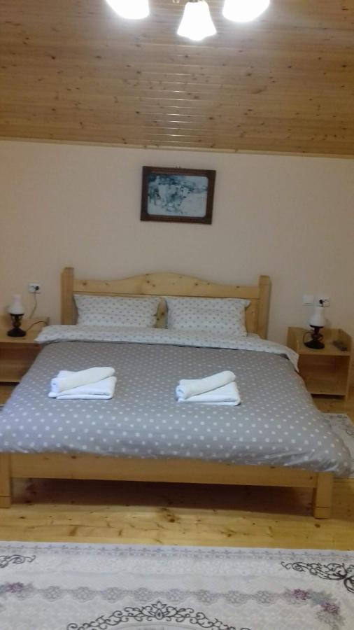 Casa Radu Apartman Novaci-Străini Kültér fotó