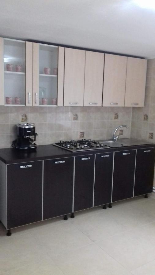 Casa Radu Apartman Novaci-Străini Kültér fotó