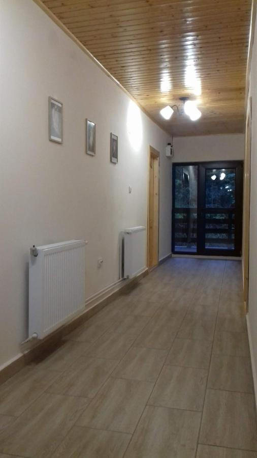 Casa Radu Apartman Novaci-Străini Kültér fotó
