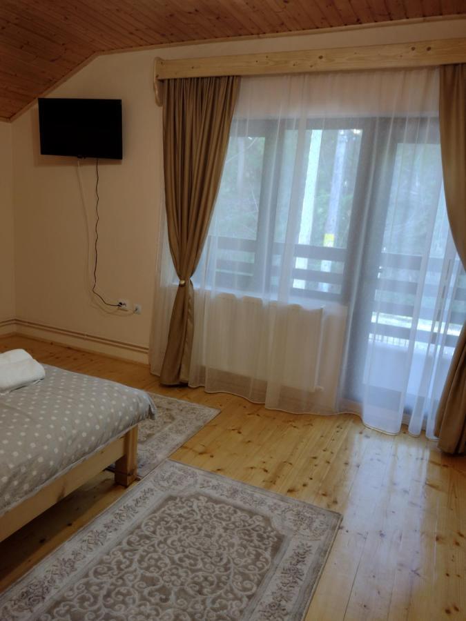 Casa Radu Apartman Novaci-Străini Kültér fotó