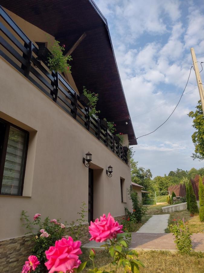 Casa Radu Apartman Novaci-Străini Kültér fotó