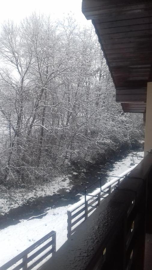 Casa Radu Apartman Novaci-Străini Kültér fotó
