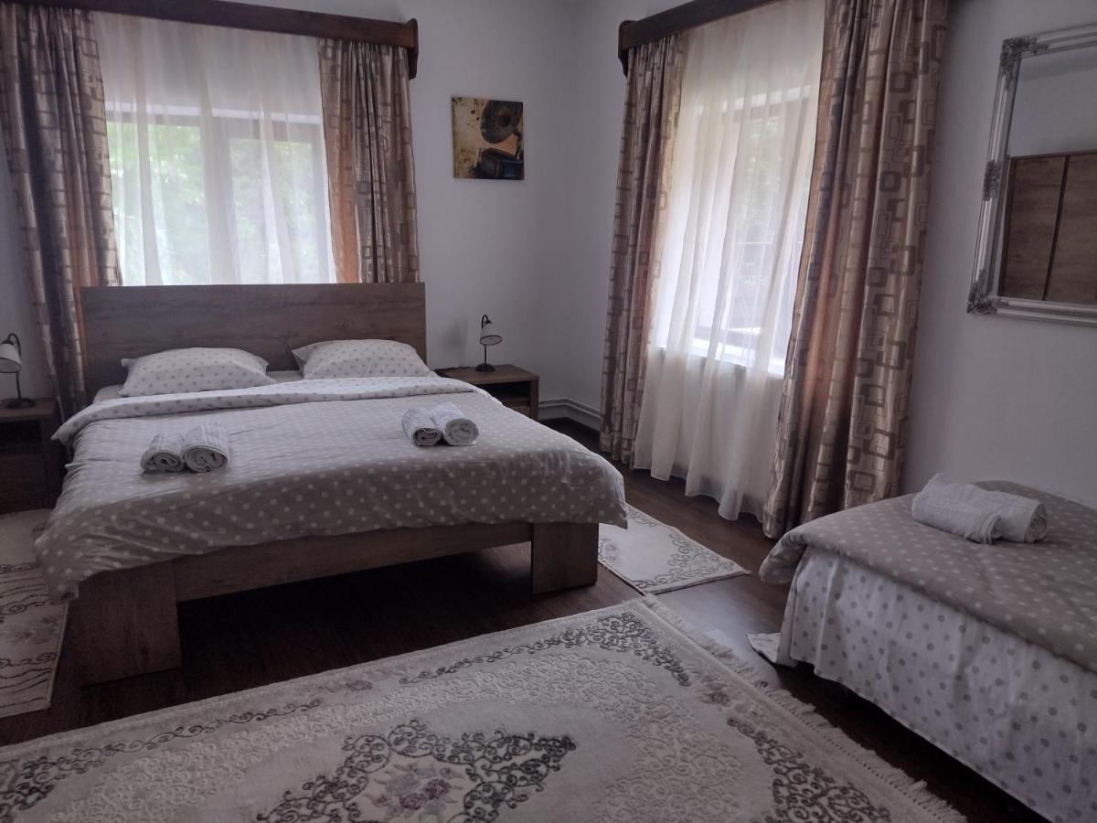 Casa Radu Apartman Novaci-Străini Kültér fotó