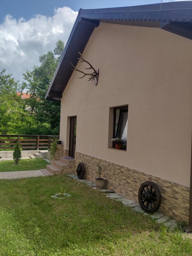 Casa Radu Apartman Novaci-Străini Kültér fotó