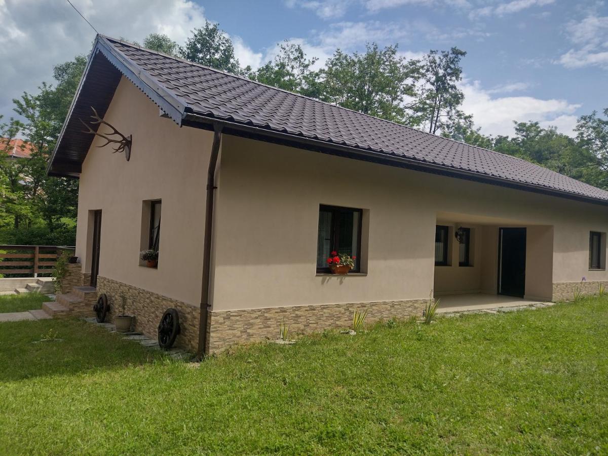 Casa Radu Apartman Novaci-Străini Kültér fotó