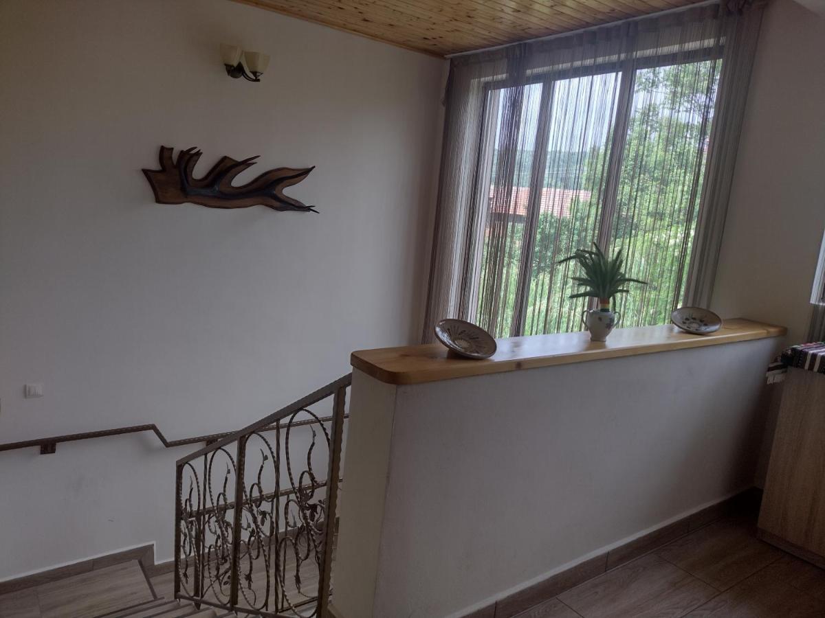 Casa Radu Apartman Novaci-Străini Kültér fotó