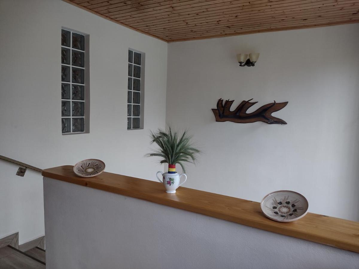 Casa Radu Apartman Novaci-Străini Kültér fotó