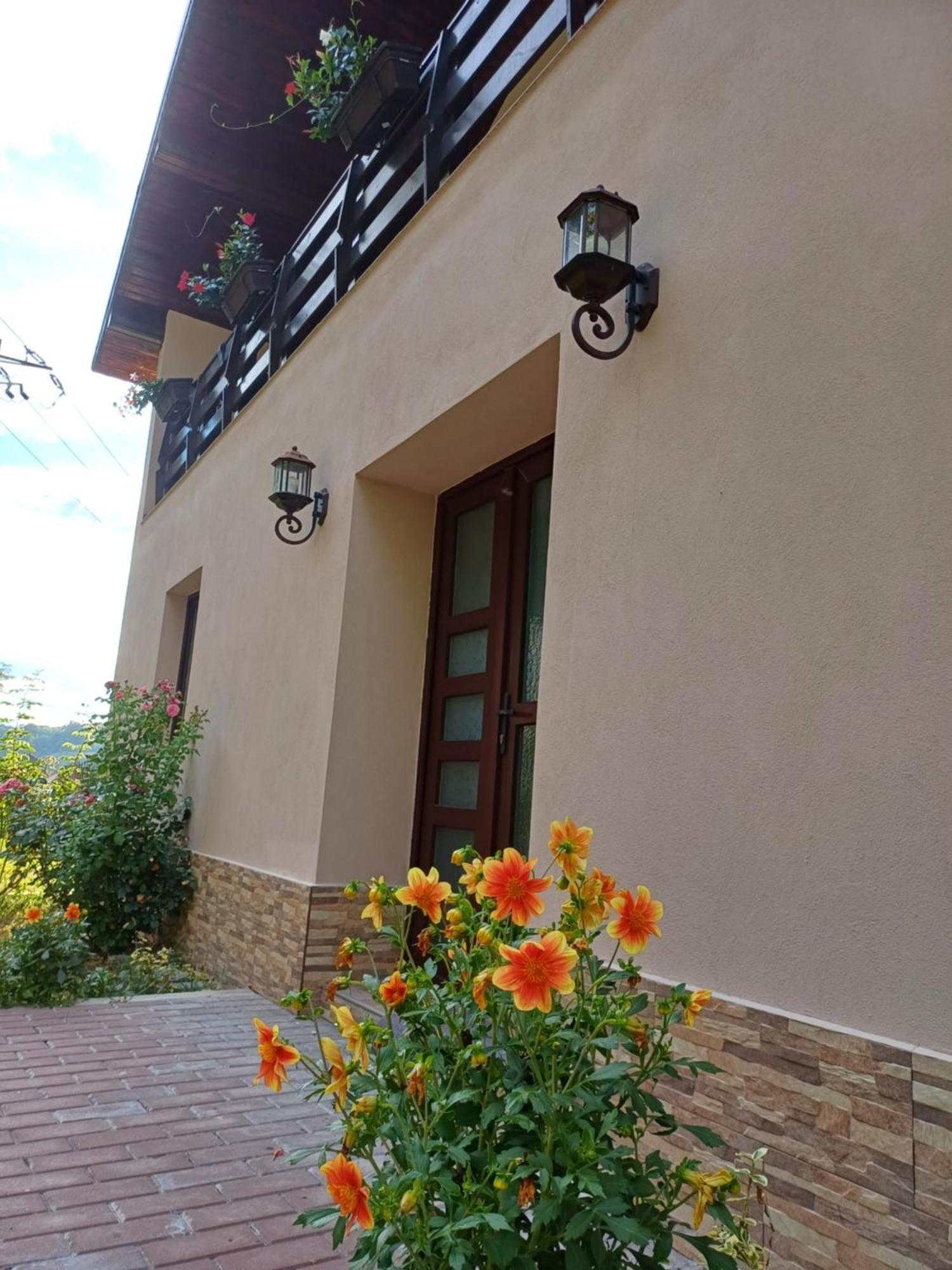 Casa Radu Apartman Novaci-Străini Kültér fotó