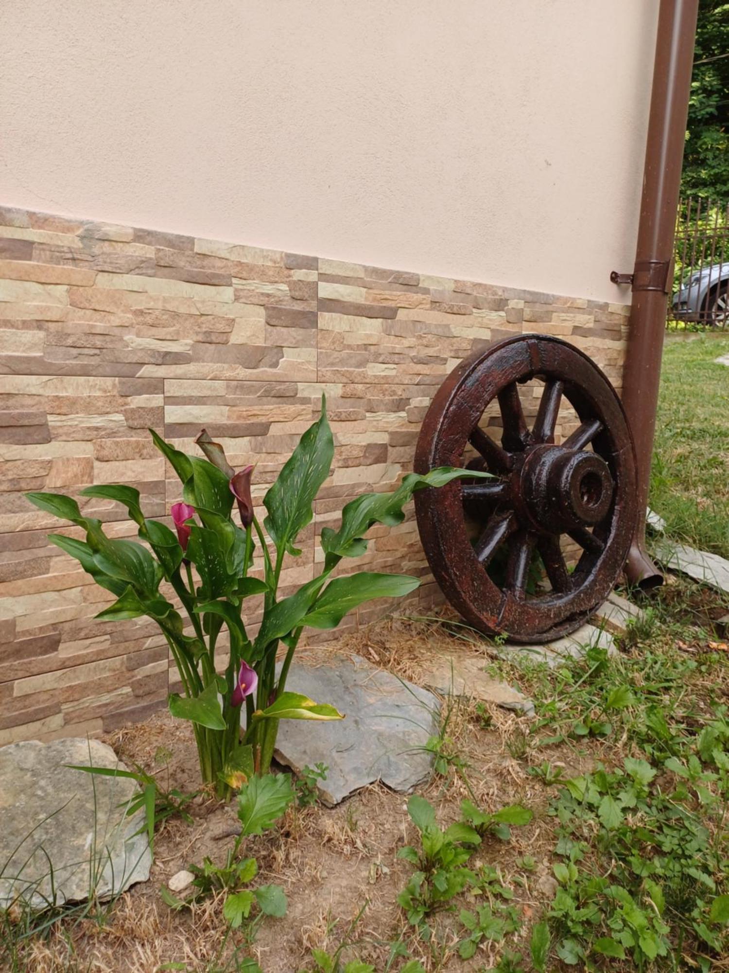 Casa Radu Apartman Novaci-Străini Kültér fotó