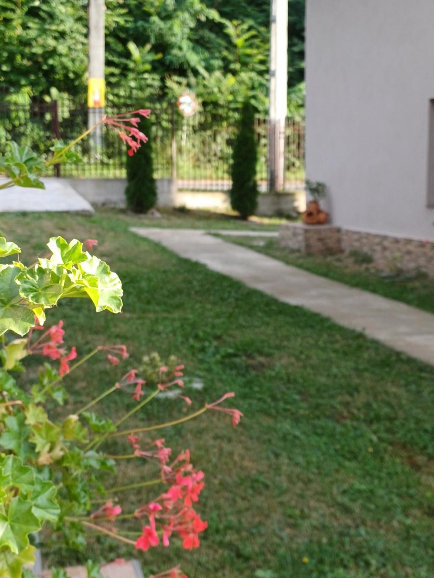 Casa Radu Apartman Novaci-Străini Kültér fotó