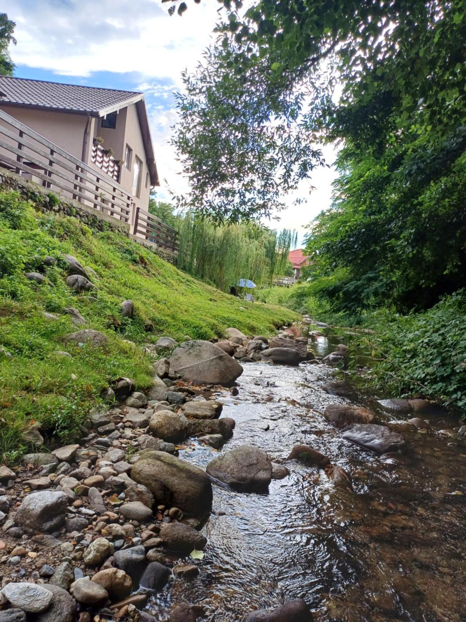 Casa Radu Apartman Novaci-Străini Kültér fotó