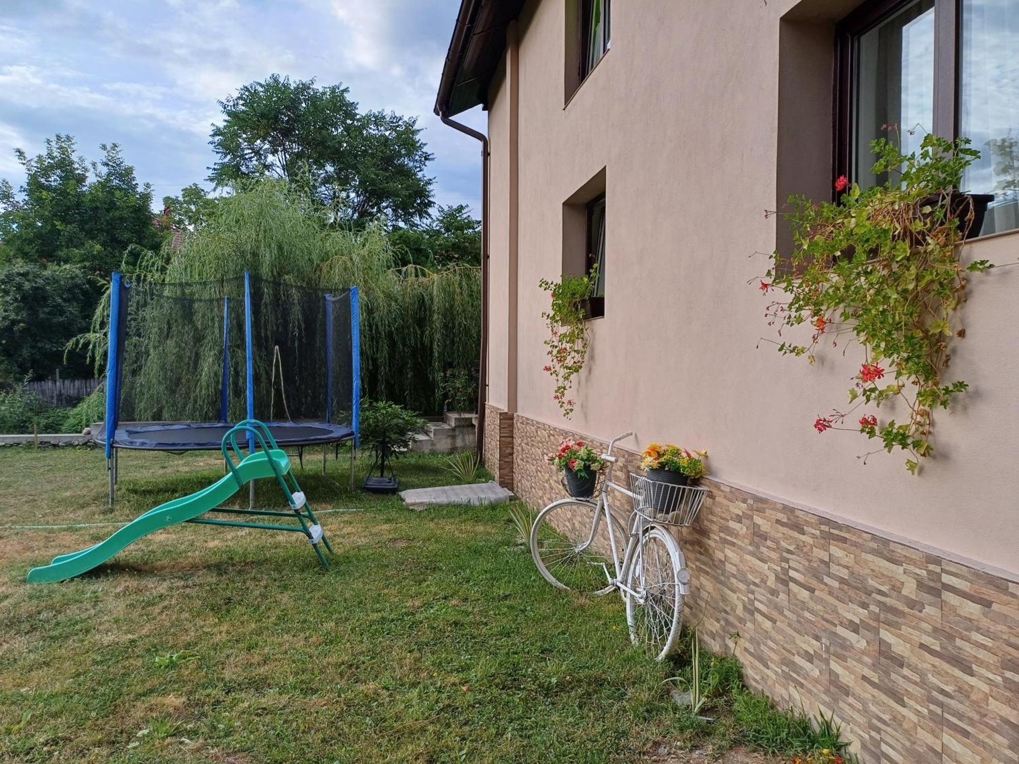 Casa Radu Apartman Novaci-Străini Kültér fotó