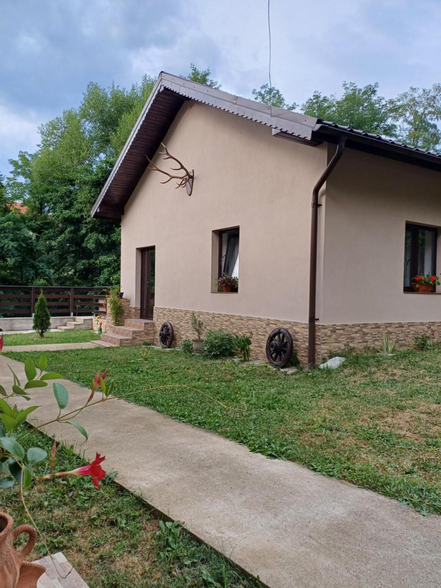 Casa Radu Apartman Novaci-Străini Kültér fotó