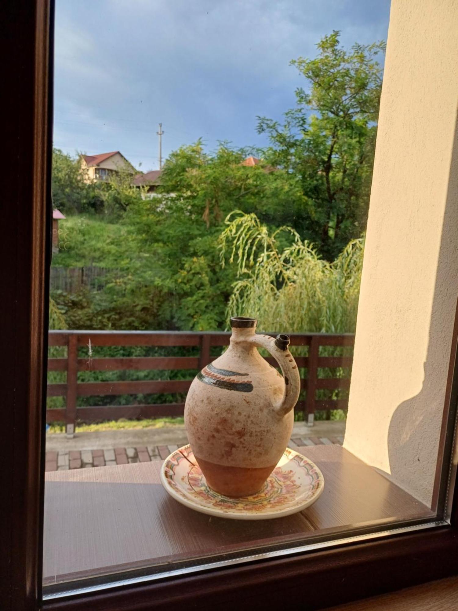 Casa Radu Apartman Novaci-Străini Kültér fotó
