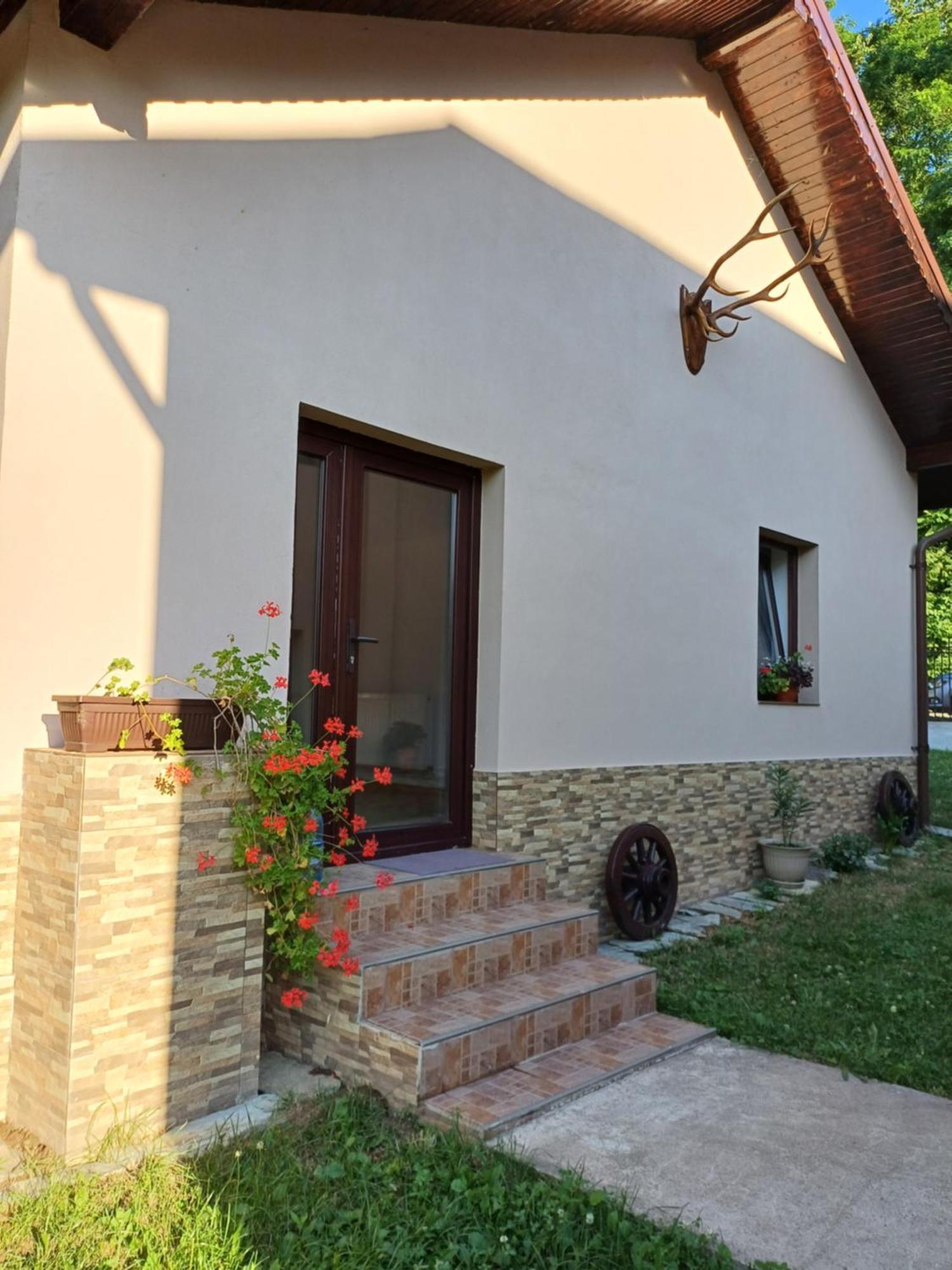 Casa Radu Apartman Novaci-Străini Kültér fotó