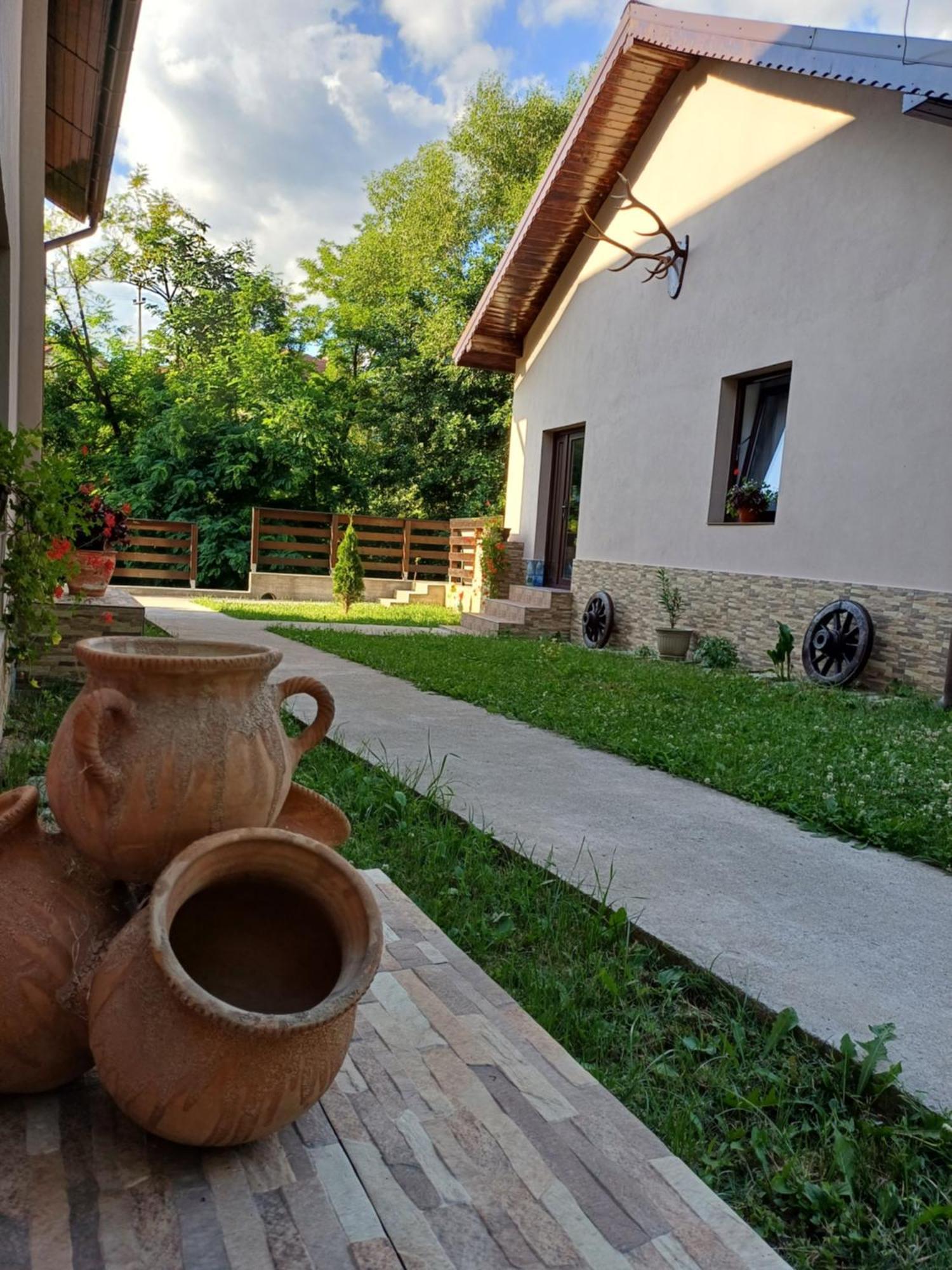 Casa Radu Apartman Novaci-Străini Kültér fotó