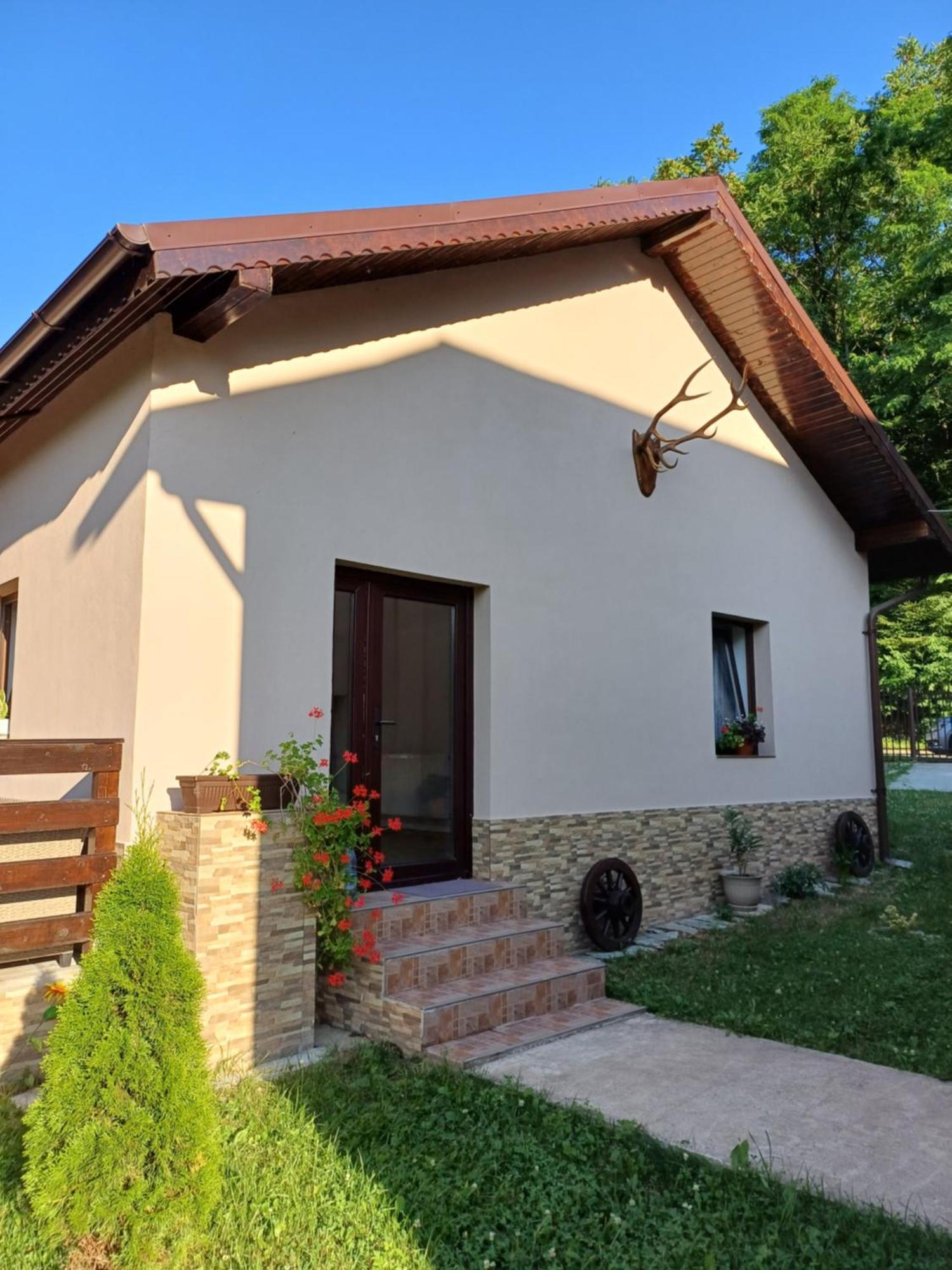 Casa Radu Apartman Novaci-Străini Kültér fotó