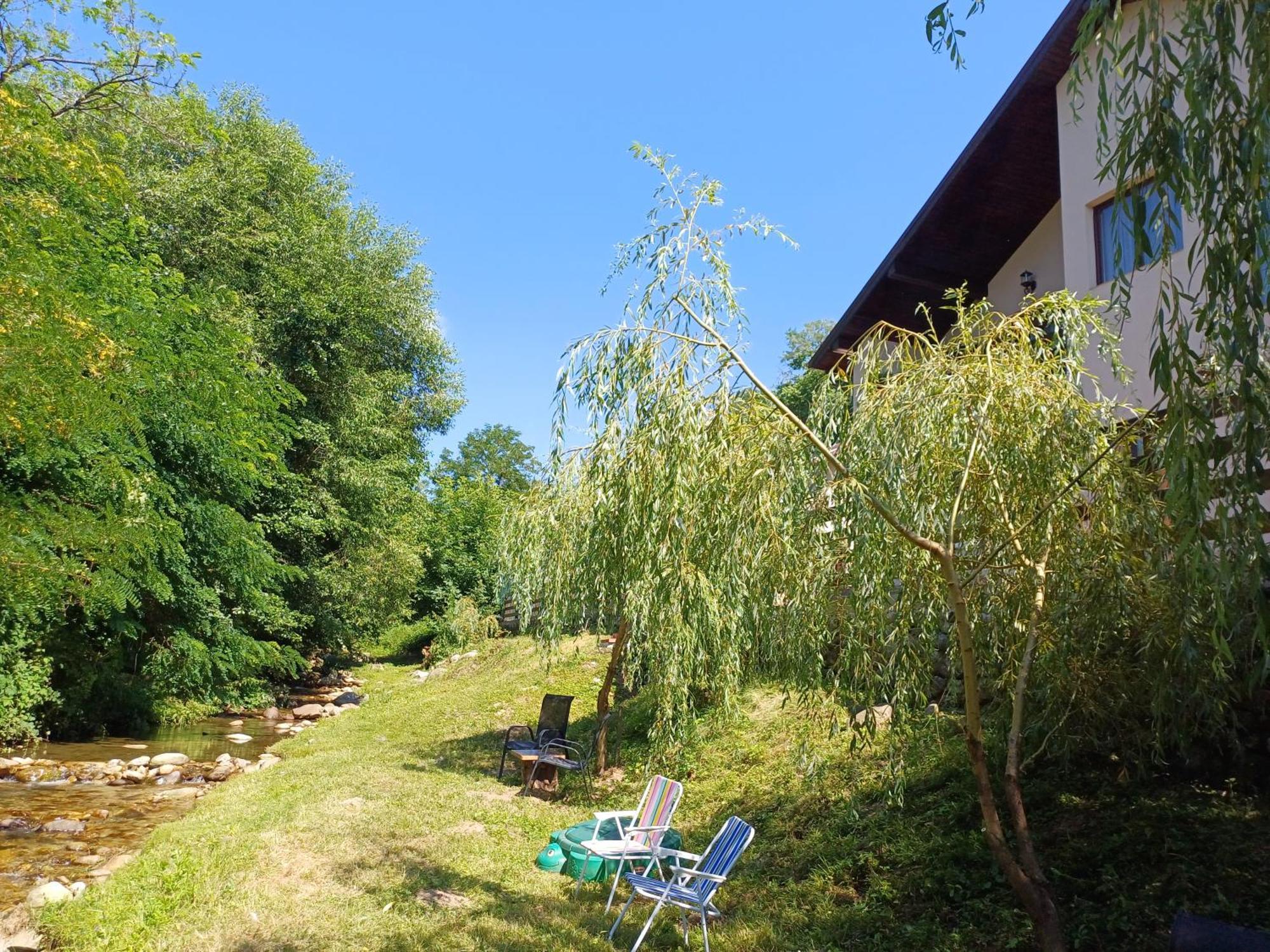 Casa Radu Apartman Novaci-Străini Kültér fotó