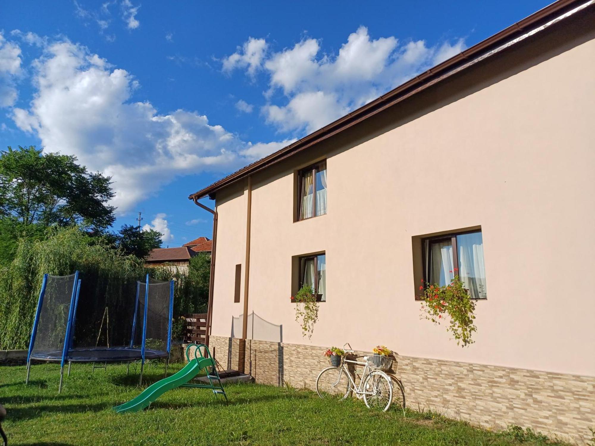 Casa Radu Apartman Novaci-Străini Kültér fotó
