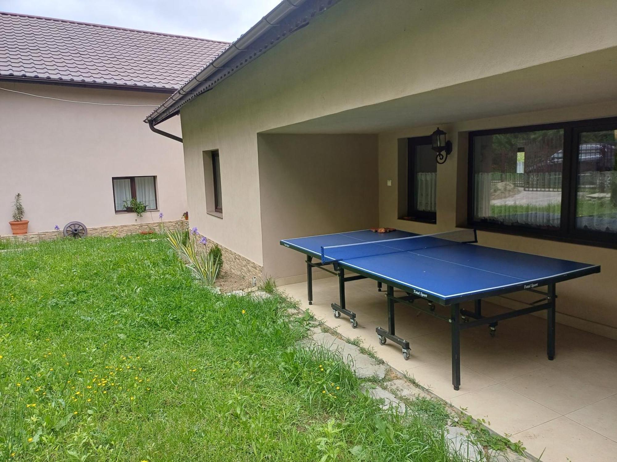Casa Radu Apartman Novaci-Străini Kültér fotó